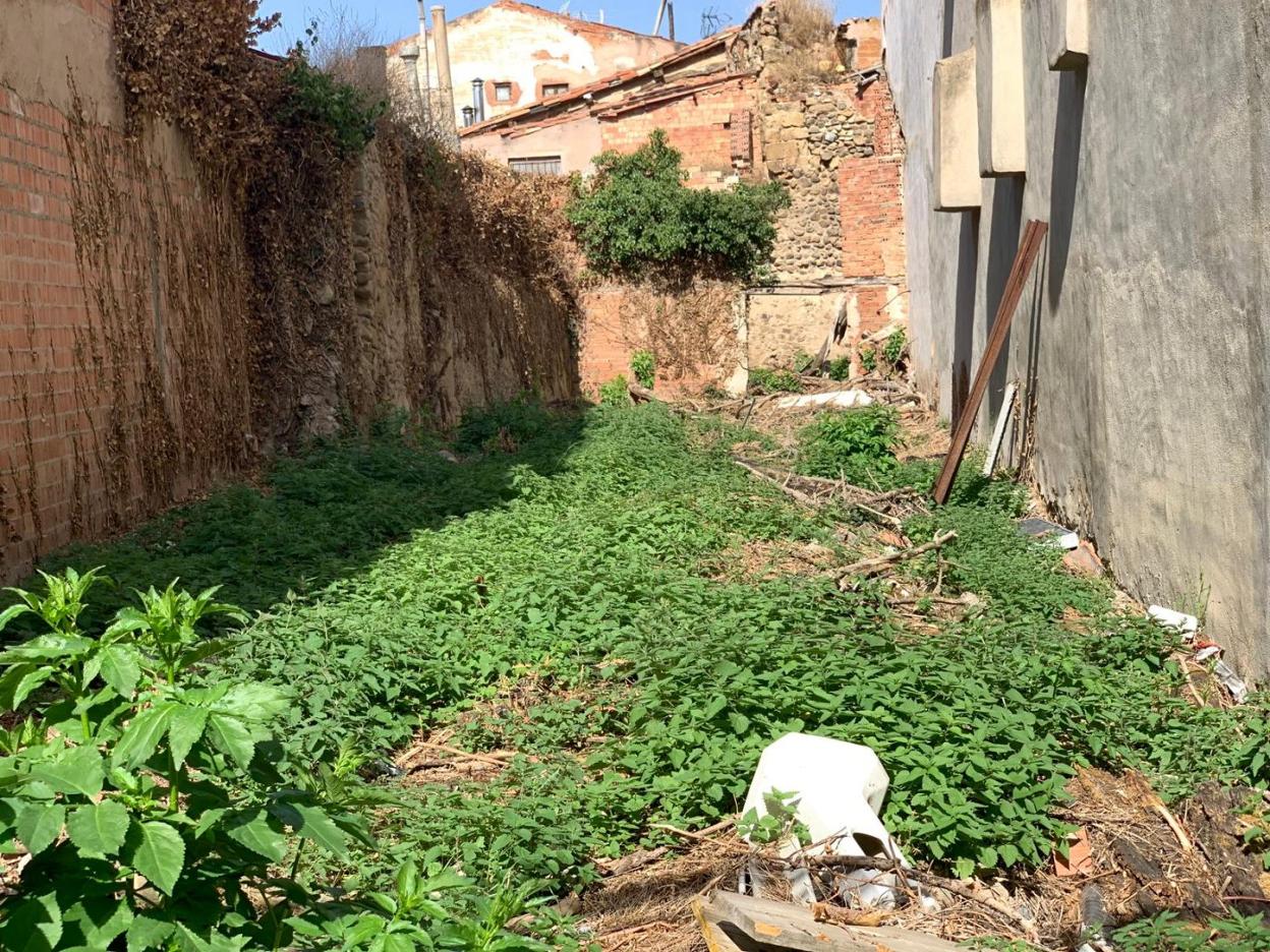 Interior de la parcela objeto de la operación, por la que discurrirá una calle según el plan director. 