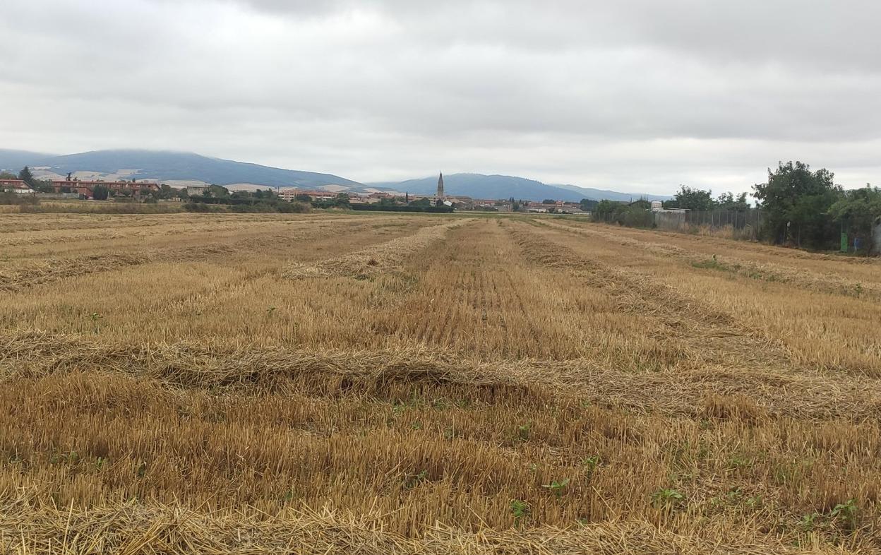 La llanura calceatense ofrecía muchas posibilidades para la instalación del aeródromo. 