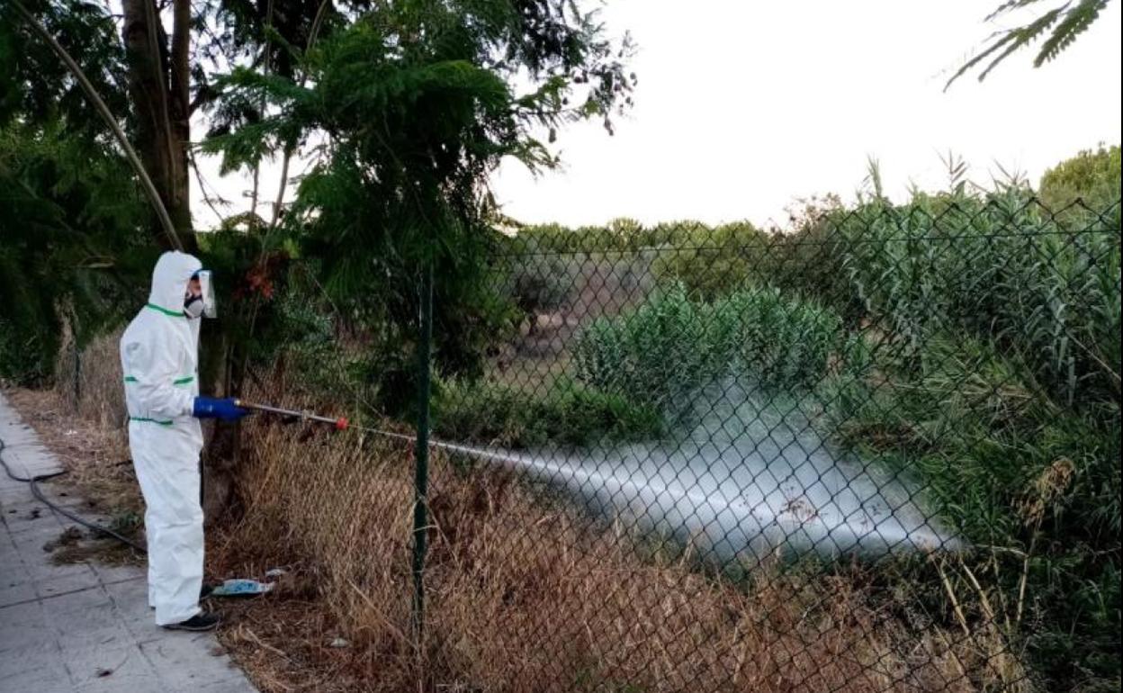 Un operario fumigando un terreno en Palomares del Río (Sevilla).