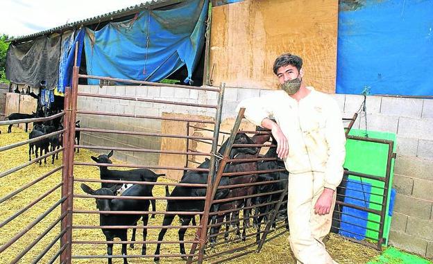 Disbel Roque, con las cabras que han colaborado en su acción 'Muda'.