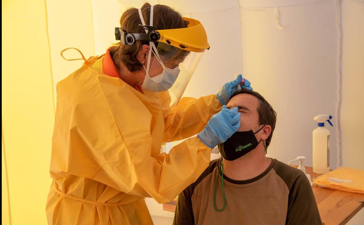 La Rioja continúa por encima de la media nacional en la realización de pruebas de PCR