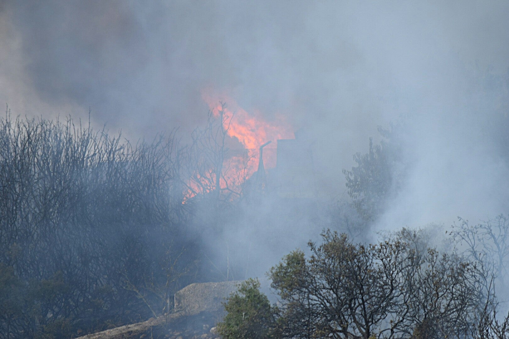 Fotos: Incendio en el Ecoparque de Logroño