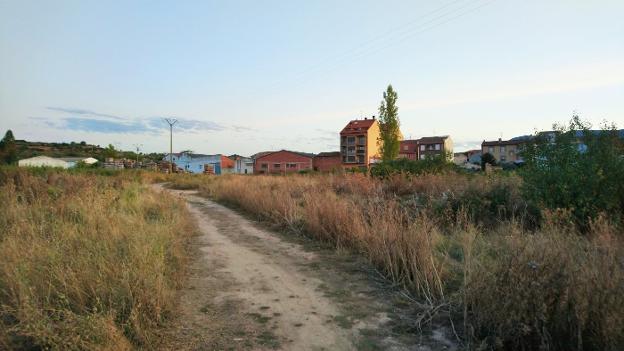 Preocupación en Entrena por la aparición de gatos y conejos muertos