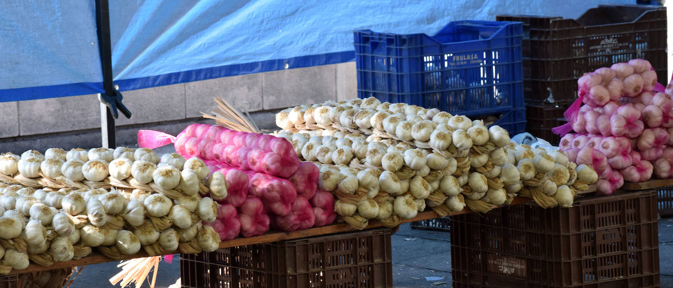 La plaza Joaquín Elizalde acoge este tradicional mercado que pide su particular SOS