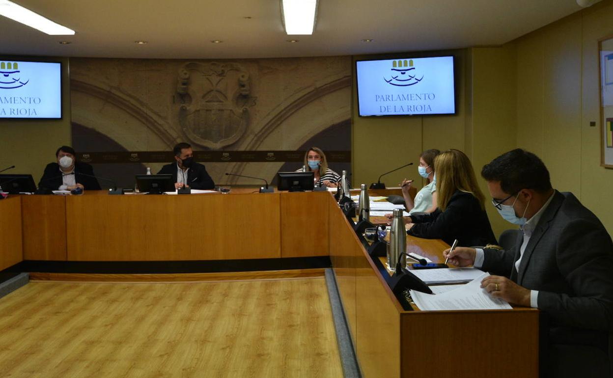 Eva Hita ha presidido la Comisión de Agricultura