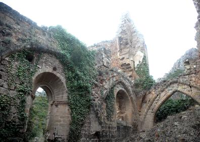 Imagen secundaria 1 - Los campos de trabajo de Contrebia Leucade.Ruinas del monasterio de San Prudencio. Las setas del Camero Viejo, recuerdo especial del artista ALFREDO IGLESIAS, MARÍA CASADO Y MIGUEL HERREROS