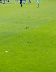 Imagen secundaria 2 - Estado del césped del Municipal.