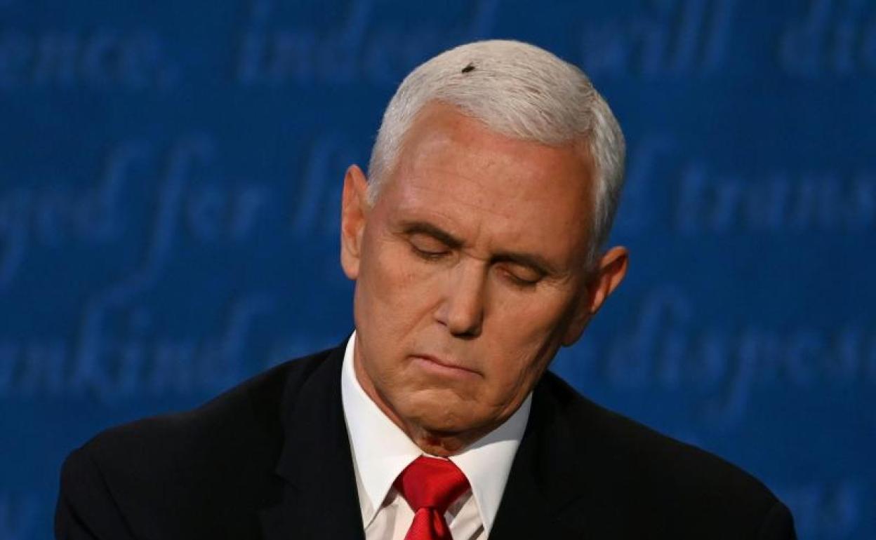 El vicepresidente de EE UU, Mike Pence, con la mosca en la cabeza que le acosó durante su debate con la demócrata Kamala Harris. 