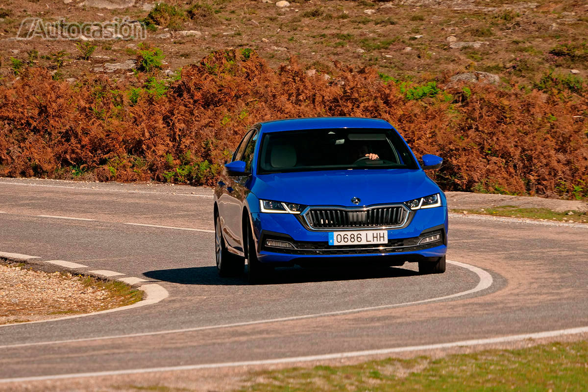 Fotos: Fotogalería: Skoda Octavia 1.5 TSi 2020