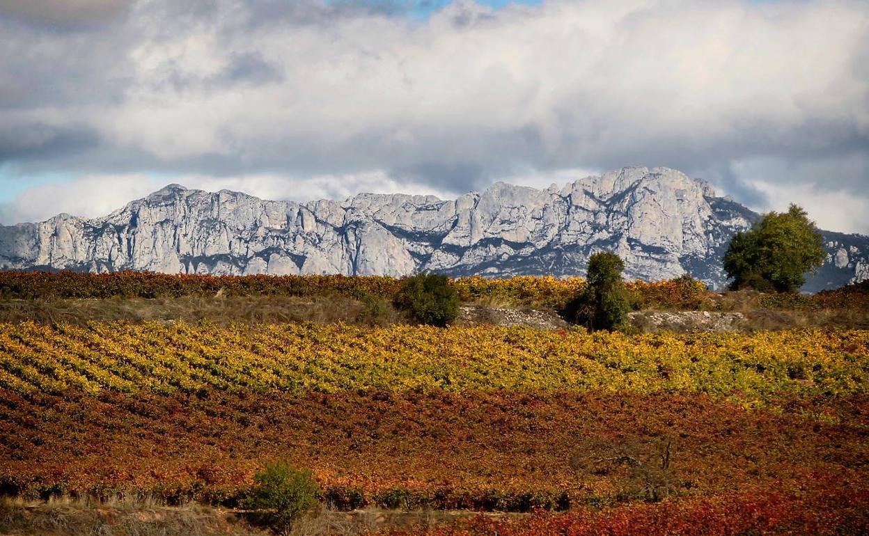 Estudian aumentar la protección de los montes Obarenes-Sierra Cantabria