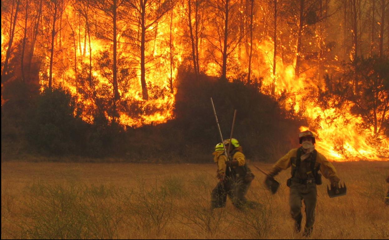 Miembros de las Brigadas de Refuerzo en Incendios Forestales, durante la extinción de un incendio.