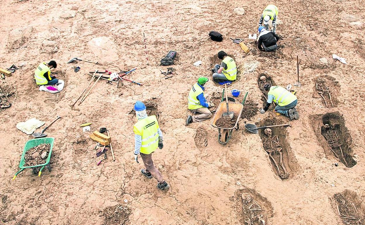 Trabajos de excavación arqueológica de la necrópolis encontrada en el yacimiento de La Magdalena, en Grañón, el verano pasado. 