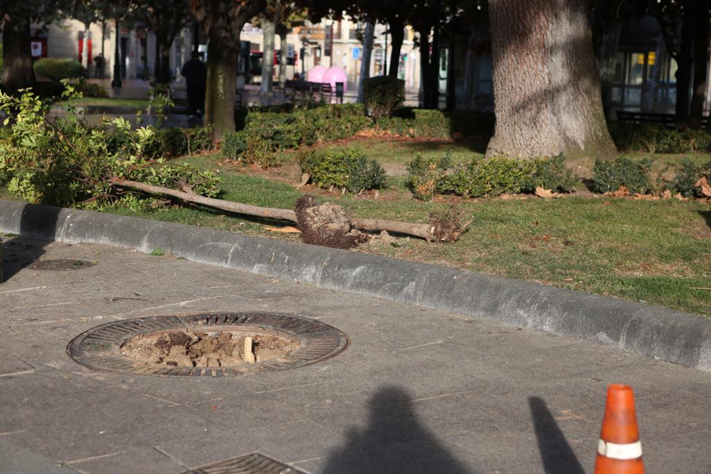 Fotos: El centro de Logroño despiera incrédulo tras la noche de destrozos y saqueos