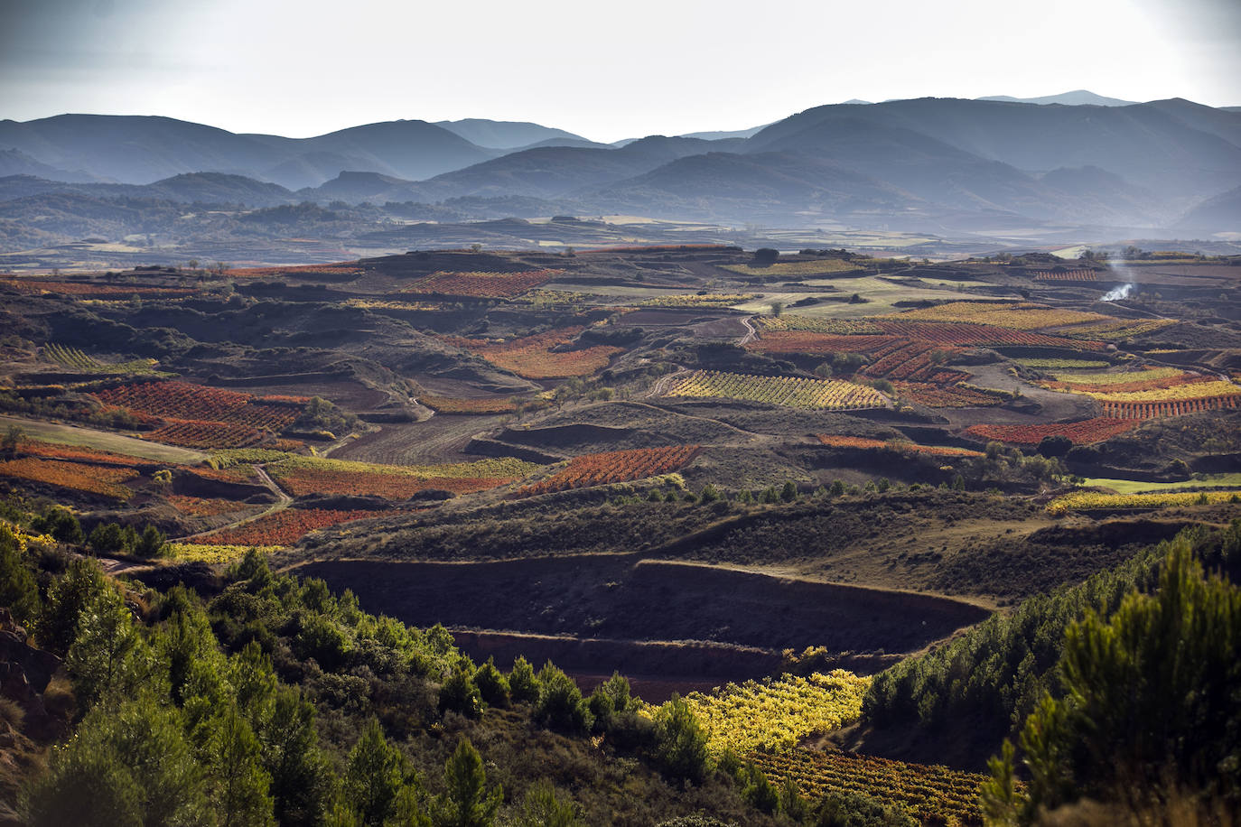 La naturaleza ofrece unos paisajes de ensueño en esta época del año