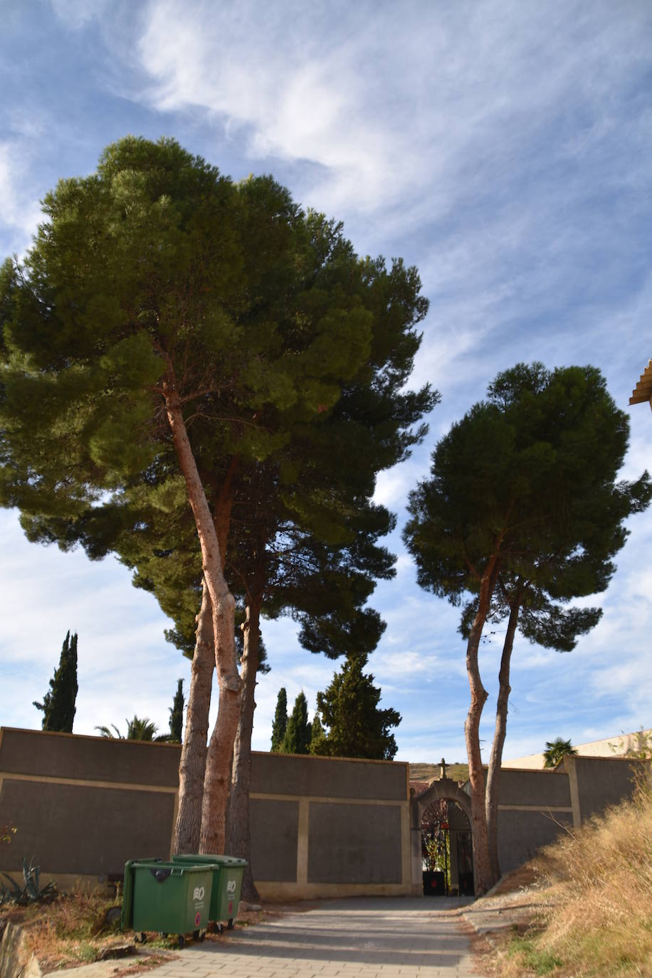 Cervera