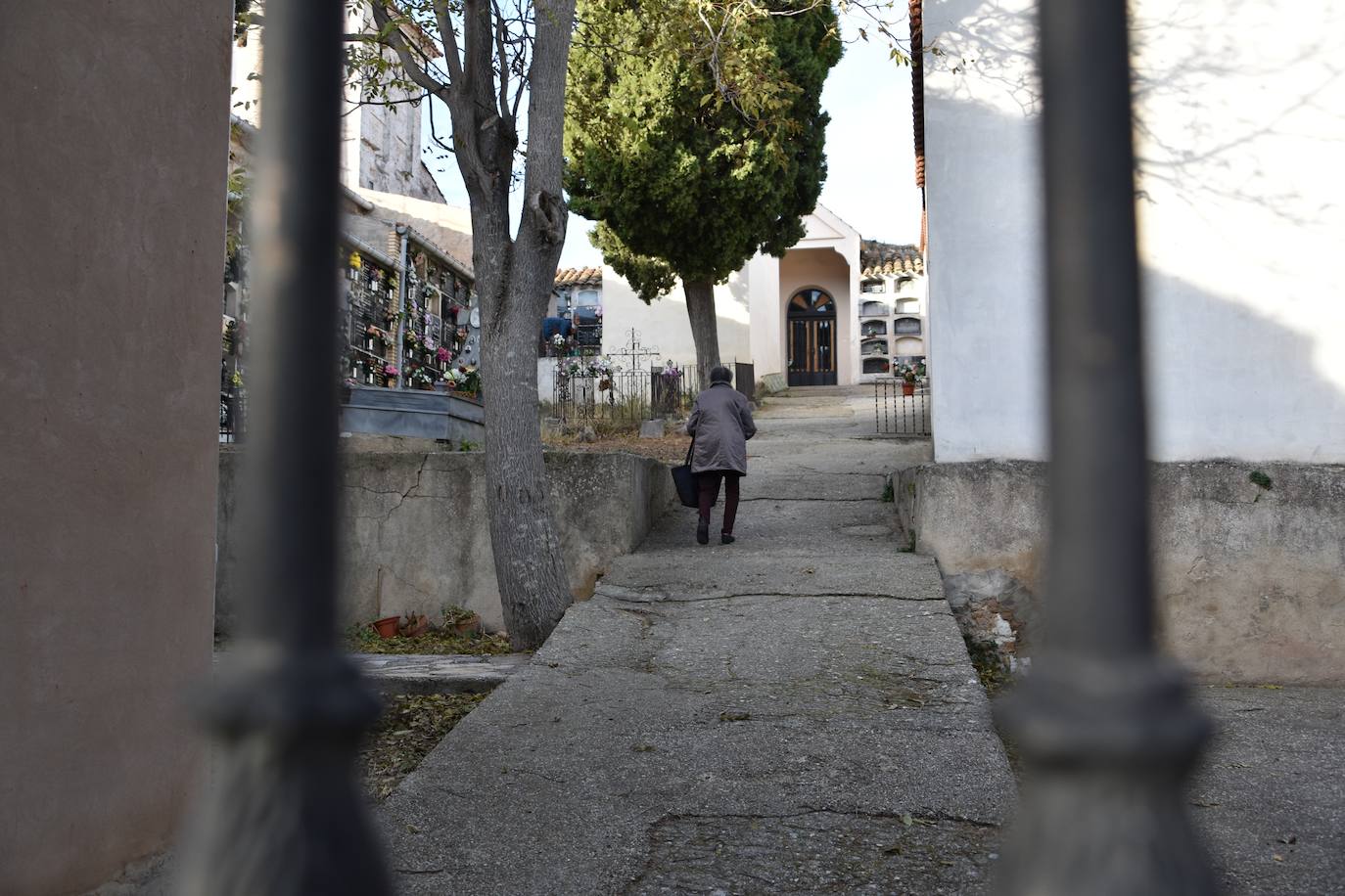 Cervera