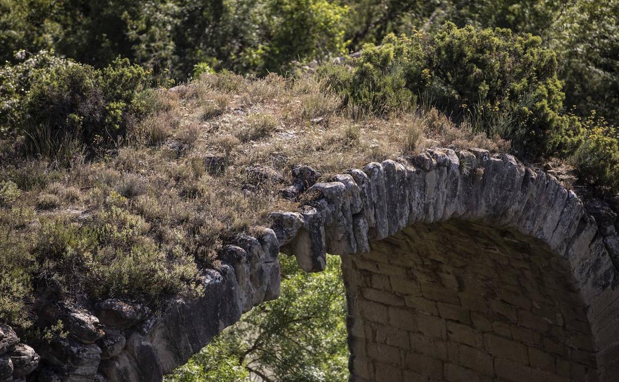 Estado del puente en el mes de mayo.