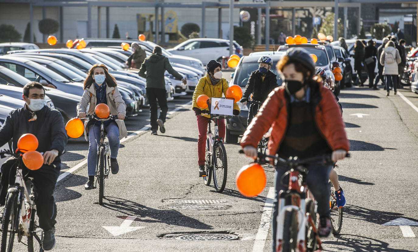 La marcha se ha iniciado pasadas las once de la mañana de este domingo y ha transitado por varias calles de la capital riojana