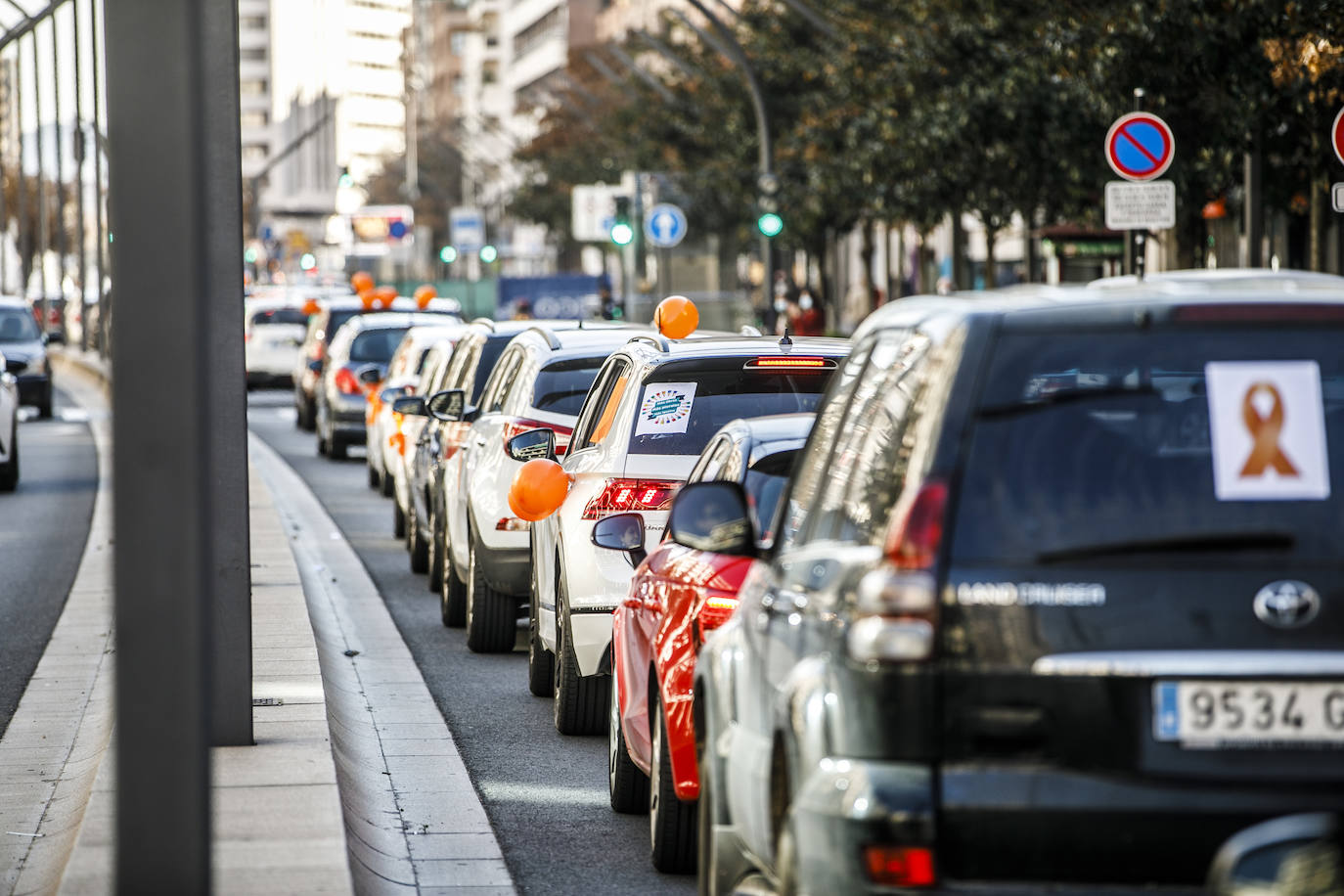 La marcha se ha iniciado pasadas las once de la mañana de este domingo y ha transitado por varias calles de la capital riojana