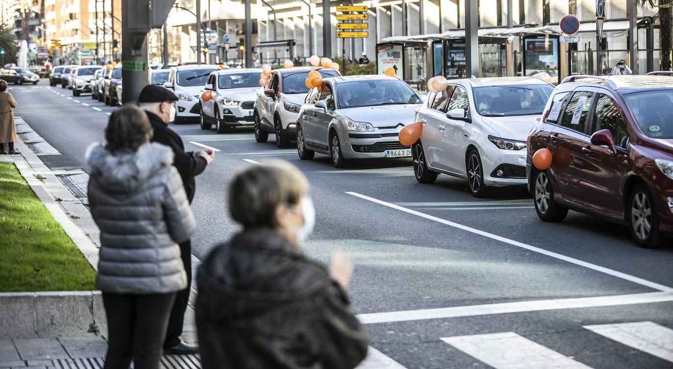 La marcha se ha iniciado pasadas las once de la mañana de este domingo y ha transitado por varias calles de la capital riojana