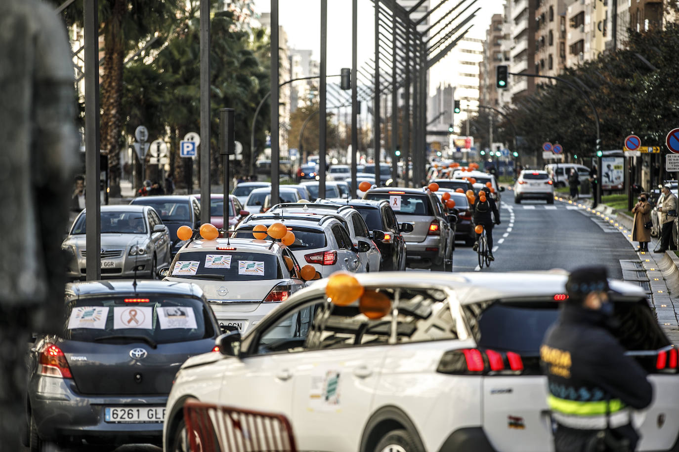 La marcha se ha iniciado pasadas las once de la mañana de este domingo y ha transitado por varias calles de la capital riojana