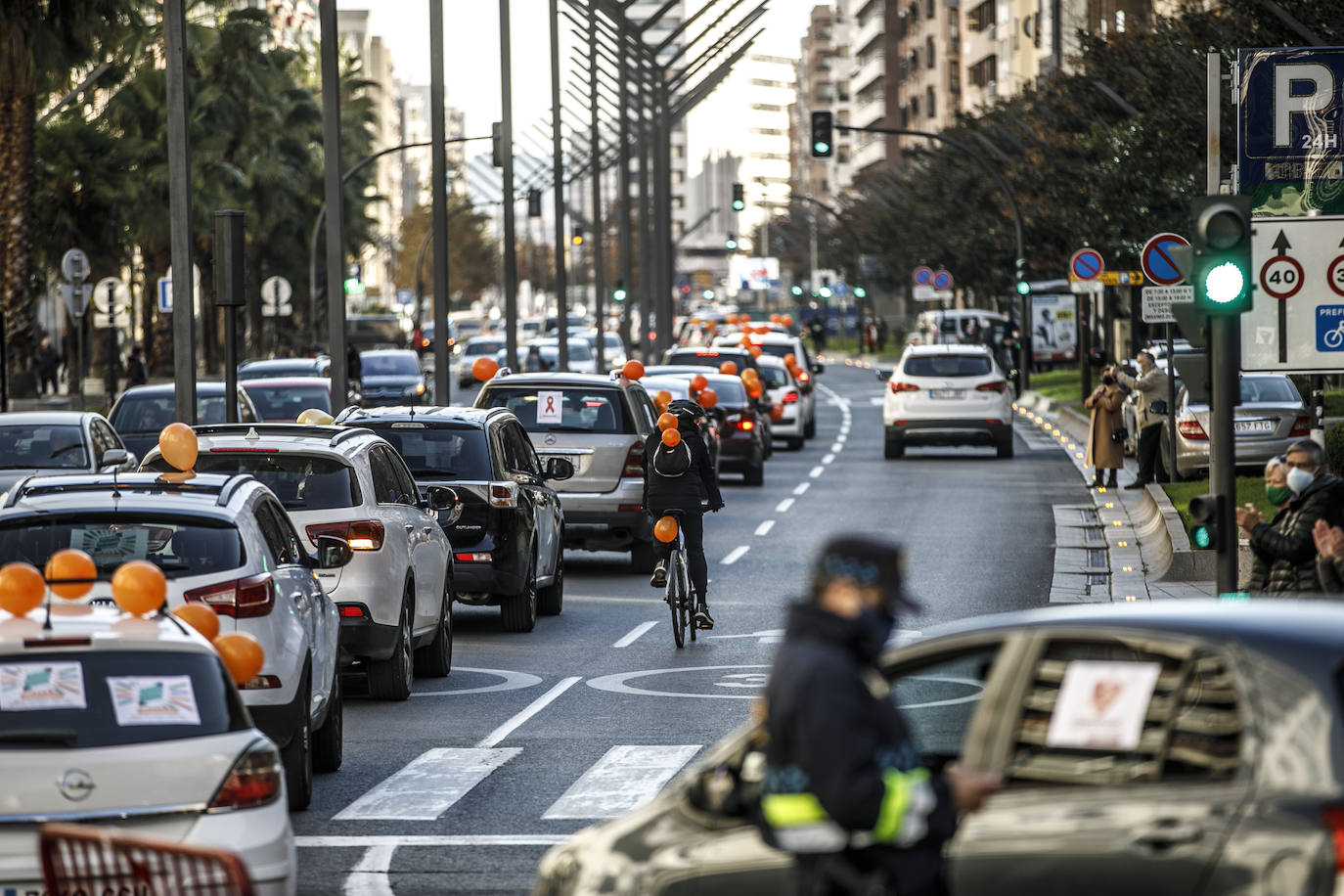 La marcha se ha iniciado pasadas las once de la mañana de este domingo y ha transitado por varias calles de la capital riojana