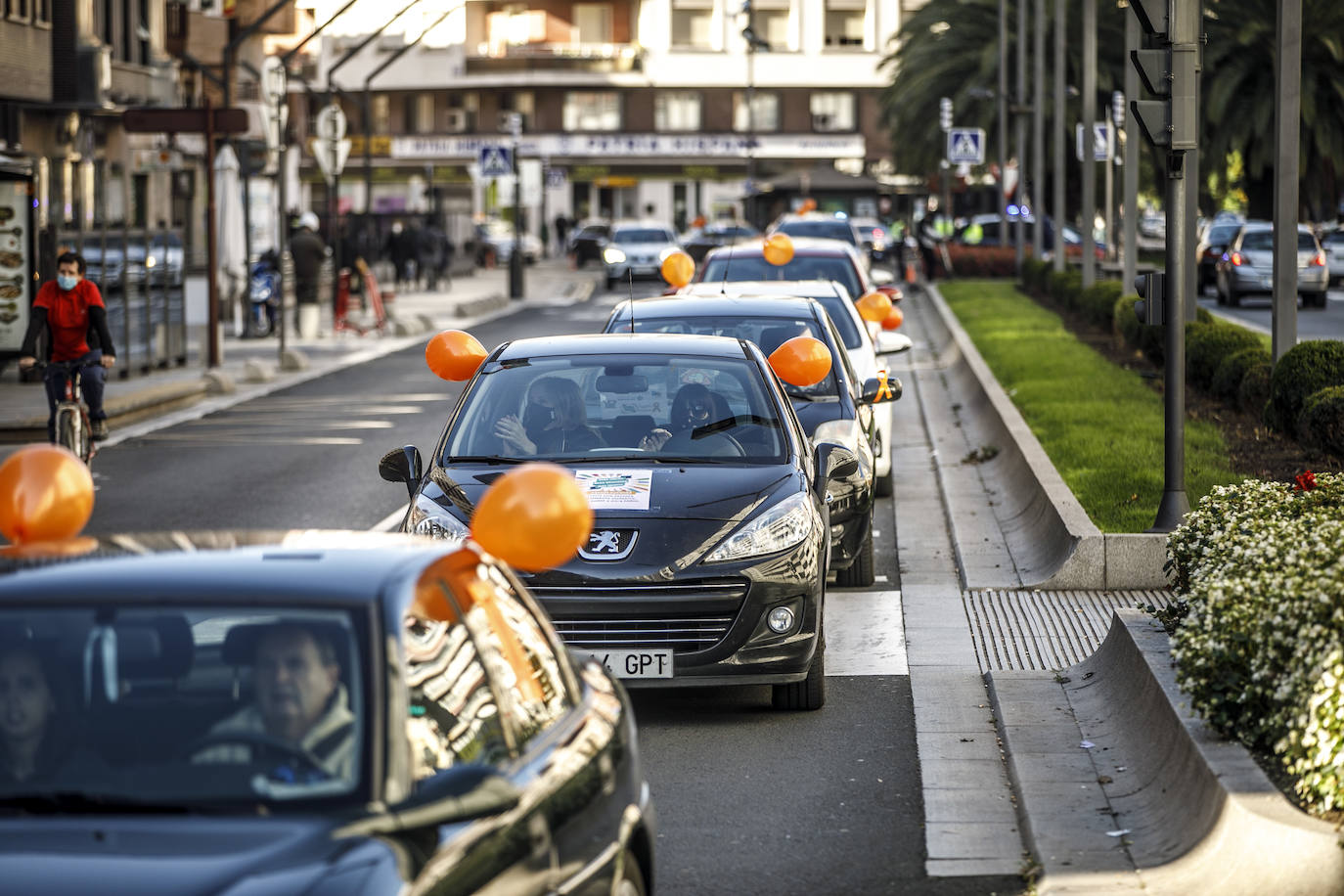 La marcha se ha iniciado pasadas las once de la mañana de este domingo y ha transitado por varias calles de la capital riojana