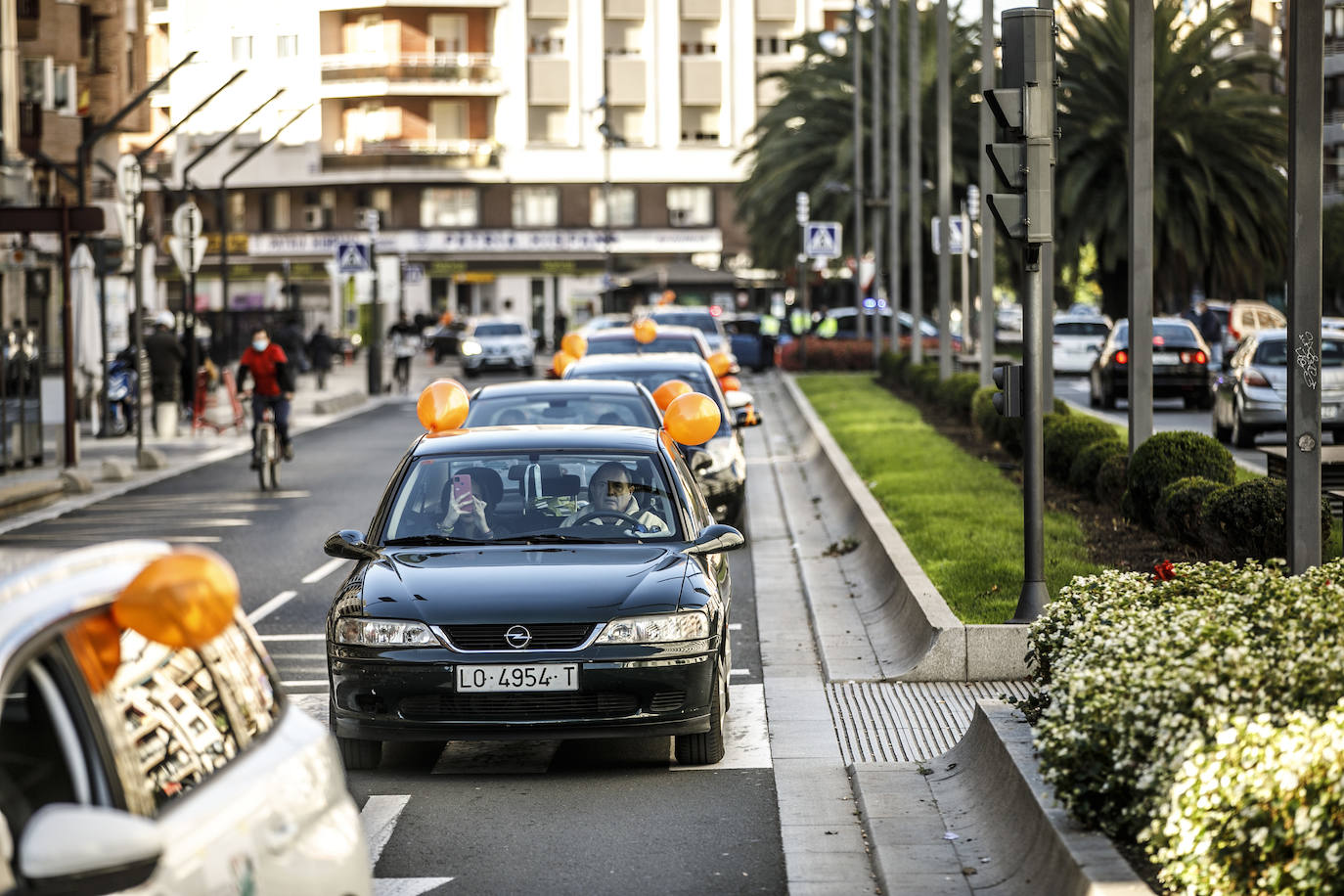 La marcha se ha iniciado pasadas las once de la mañana de este domingo y ha transitado por varias calles de la capital riojana