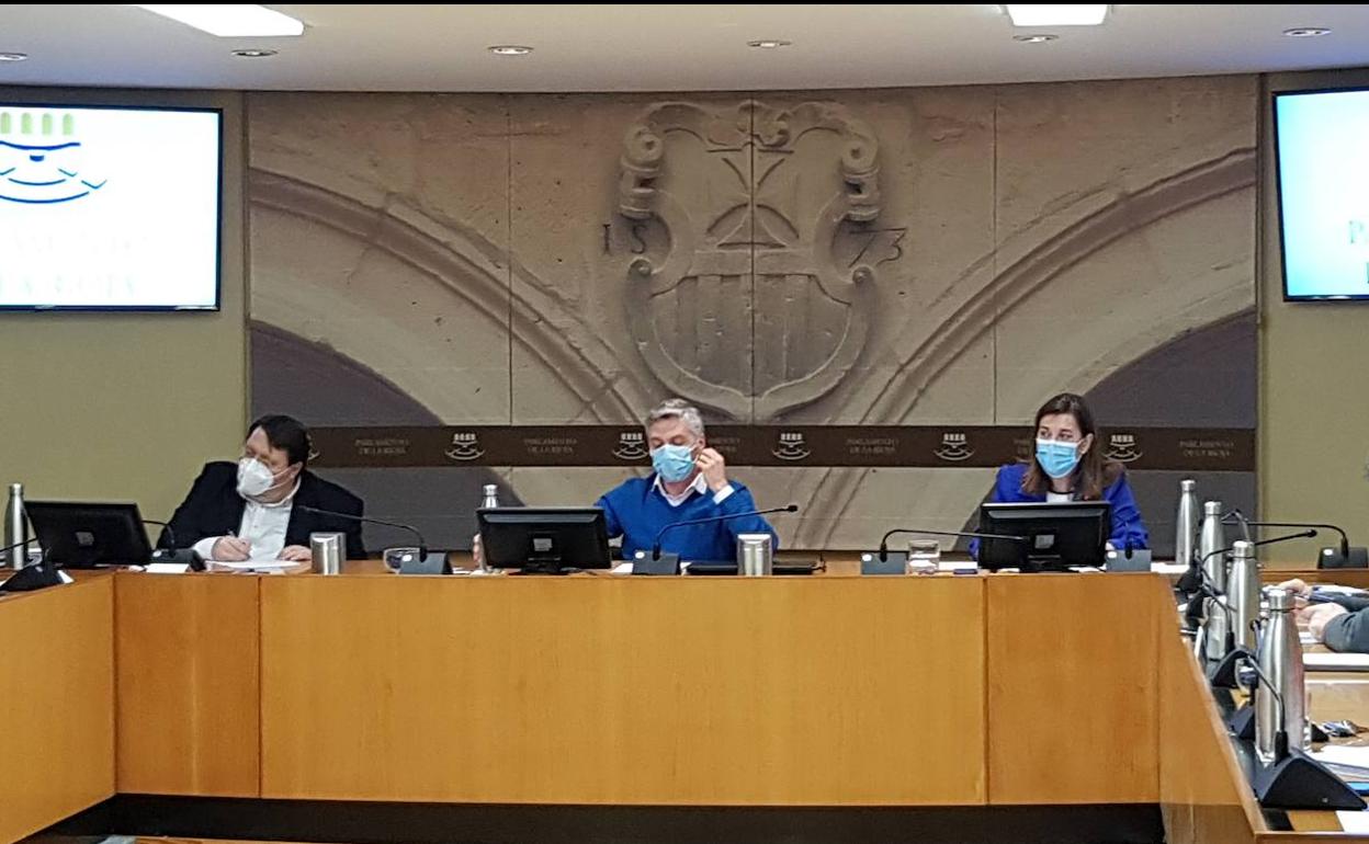 Alba asegura que el Sistema Público de Salud de La Rioja está «preparado» para la vacunación