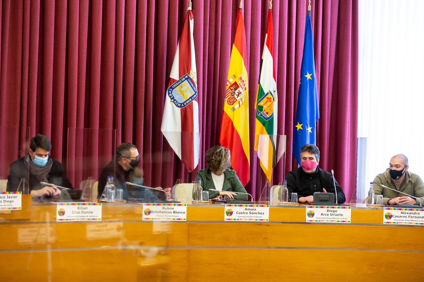 Celebración del pleno con motivo del Día de la Discapacidad.