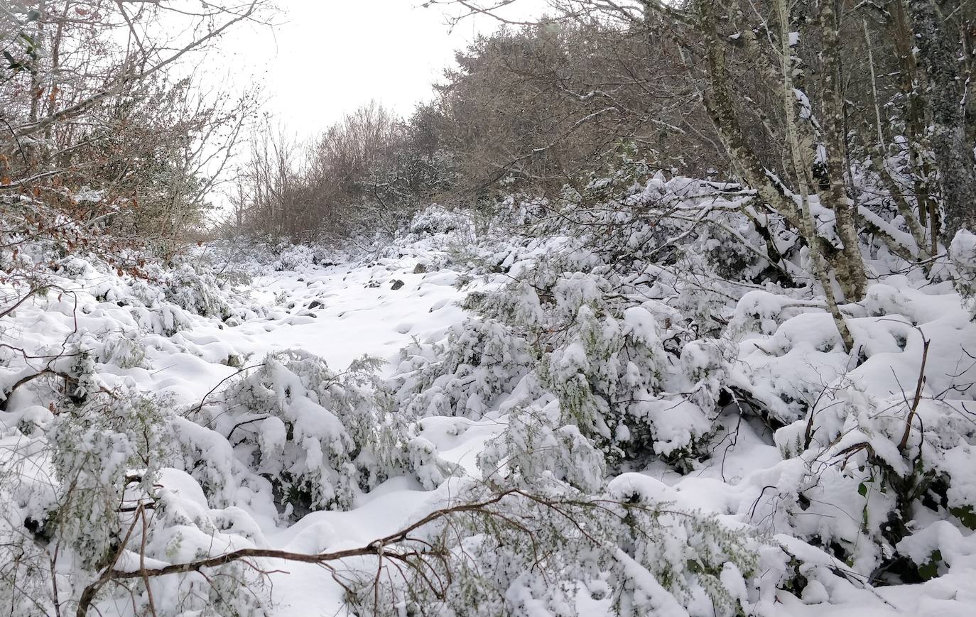 Están al nordeste de la cumbre y la nieve se acumula ahí a causa del viento