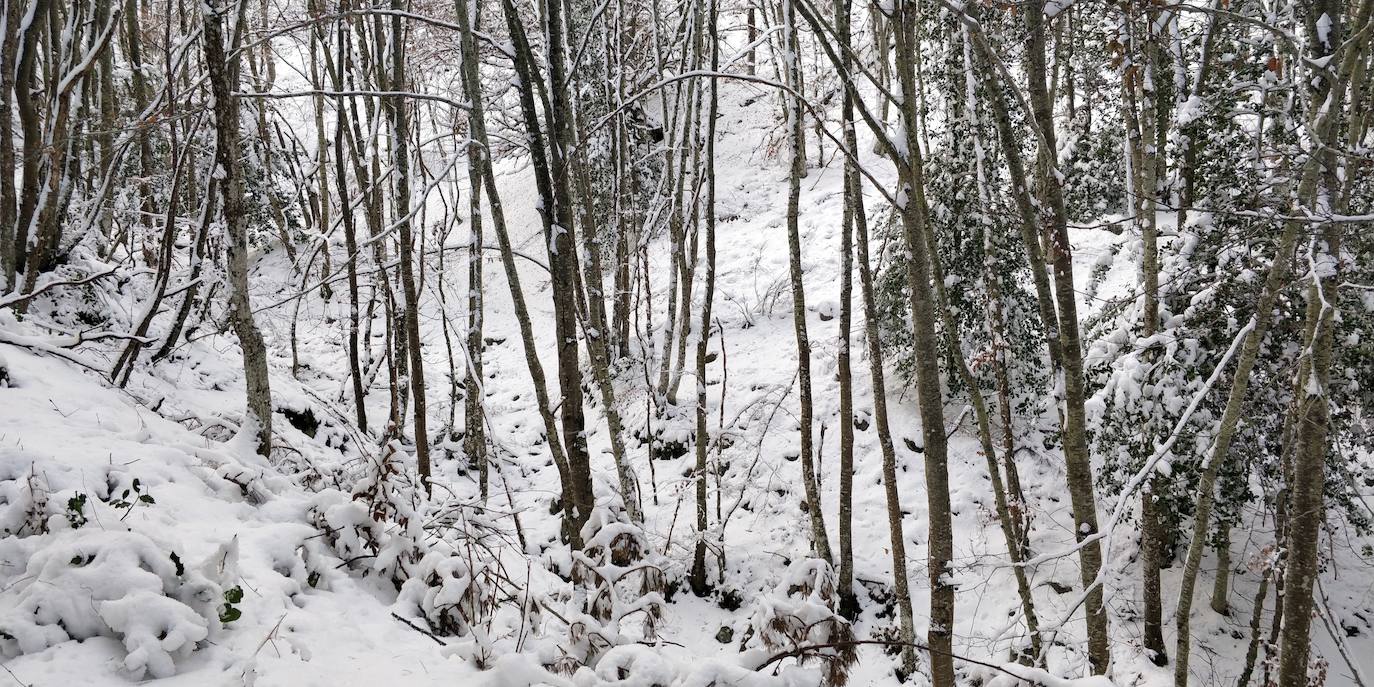 Están al nordeste de la cumbre y la nieve se acumula ahí a causa del viento