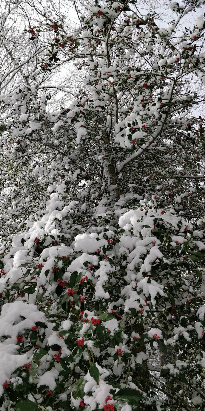 Están al nordeste de la cumbre y la nieve se acumula ahí a causa del viento