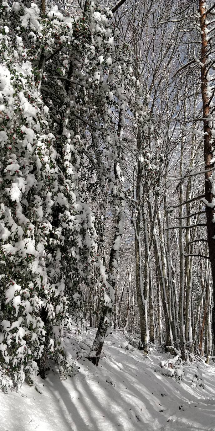 Están al nordeste de la cumbre y la nieve se acumula ahí a causa del viento