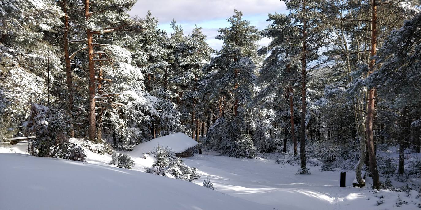 Están al nordeste de la cumbre y la nieve se acumula ahí a causa del viento