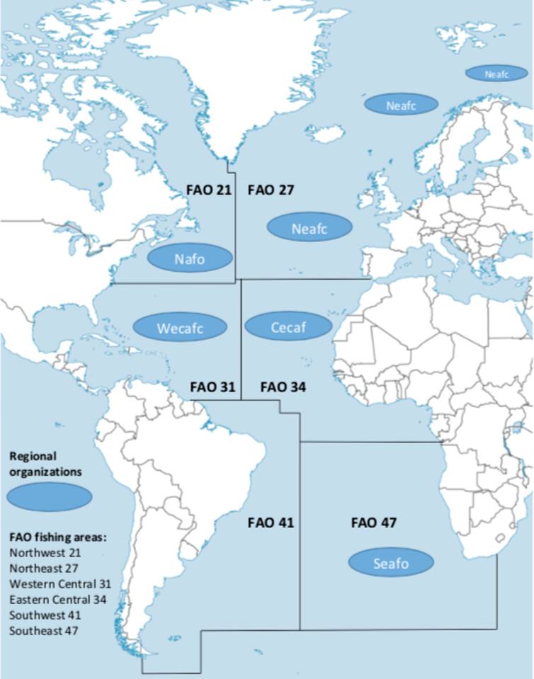 La FAO ha identificado seis áreas de explotación pesquera en el océano Atlántico