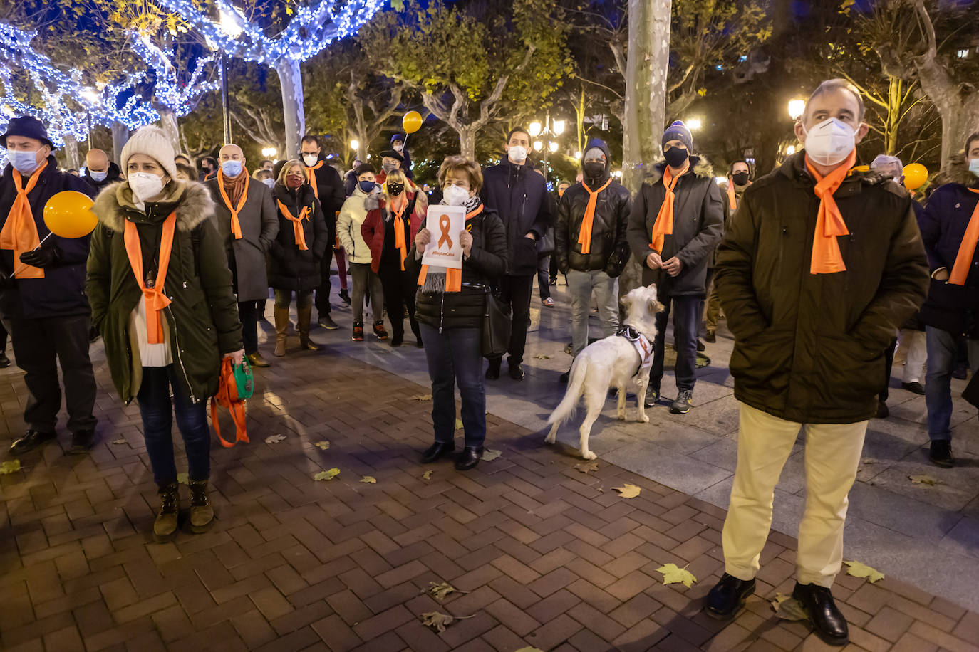 Unas 400 personas se concentran en el Paseo del Espolón para mostrar su rechazo hacia la 'Ley Celaá'.