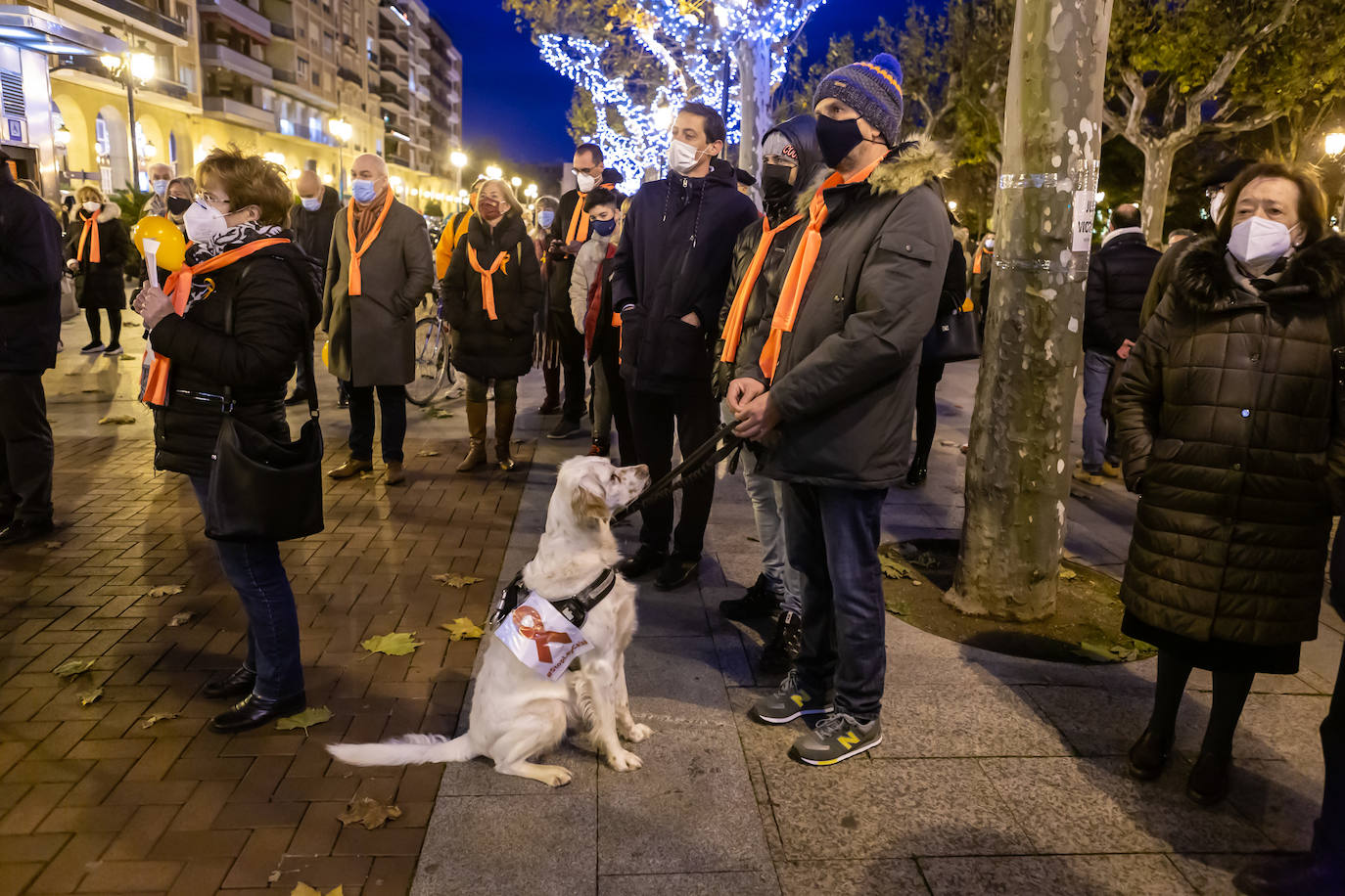 Unas 400 personas se concentran en el Paseo del Espolón para mostrar su rechazo hacia la 'Ley Celaá'.