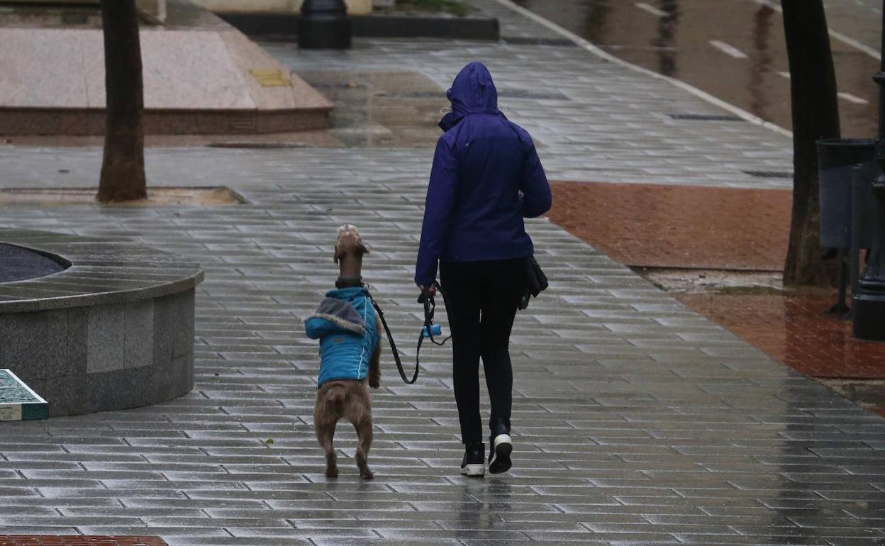 Los casos activos suben de nuevo en Logroño