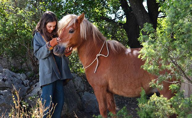 Un fotograma de 'Mi amigo pony'.