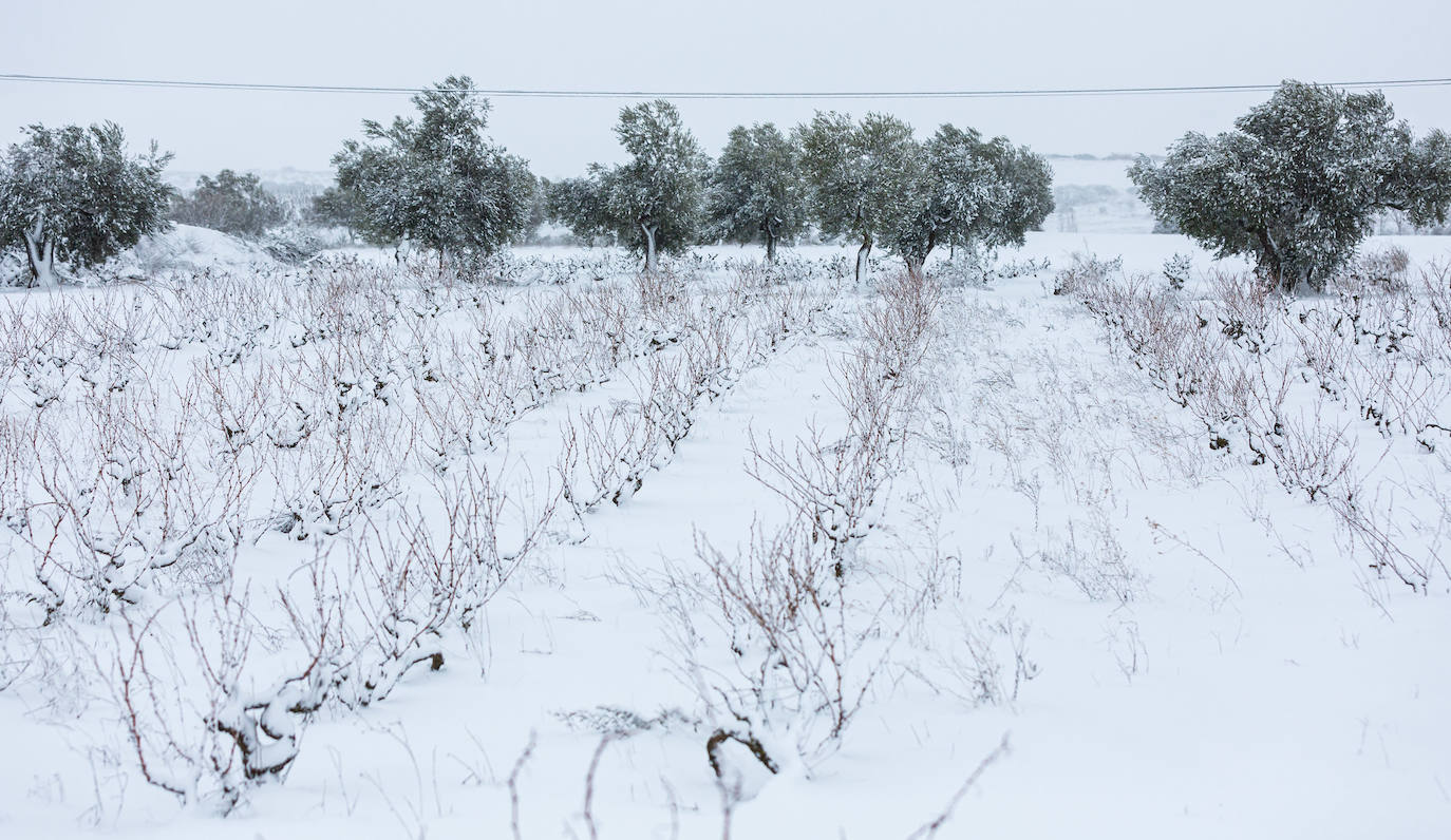 Municipios como Uruñuela, Najera, Sotés, Ventosa o Navarrete han recibido a la nieve en este 2 de enero