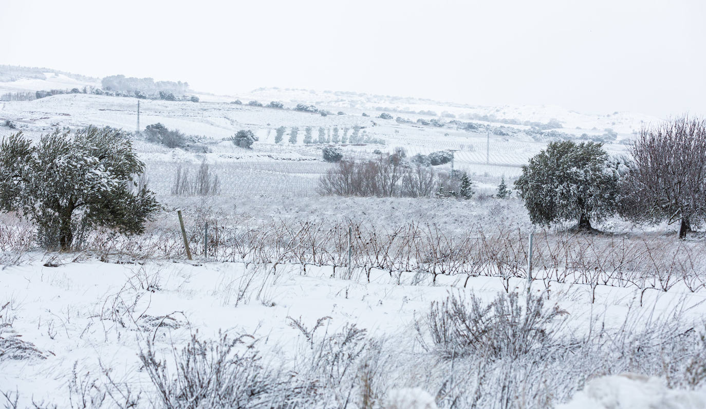 Municipios como Uruñuela, Najera, Sotés, Ventosa o Navarrete han recibido a la nieve en este 2 de enero