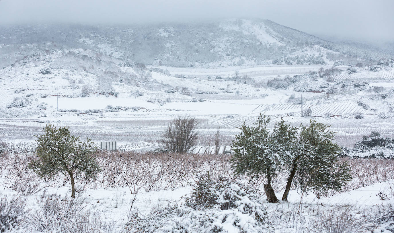 Municipios como Uruñuela, Najera, Sotés, Ventosa o Navarrete han recibido a la nieve en este 2 de enero