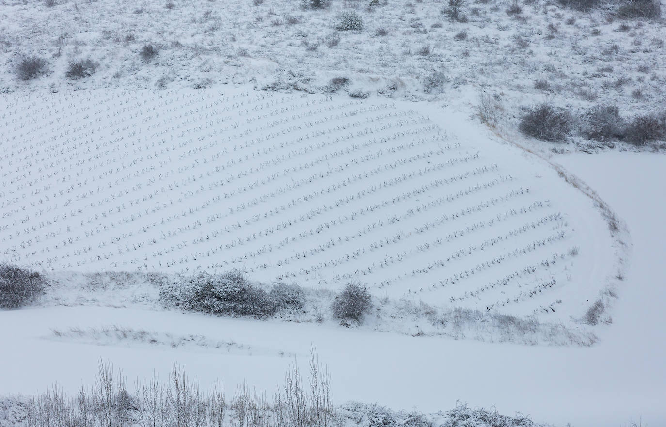 Municipios como Uruñuela, Najera, Sotés, Ventosa o Navarrete han recibido a la nieve en este 2 de enero