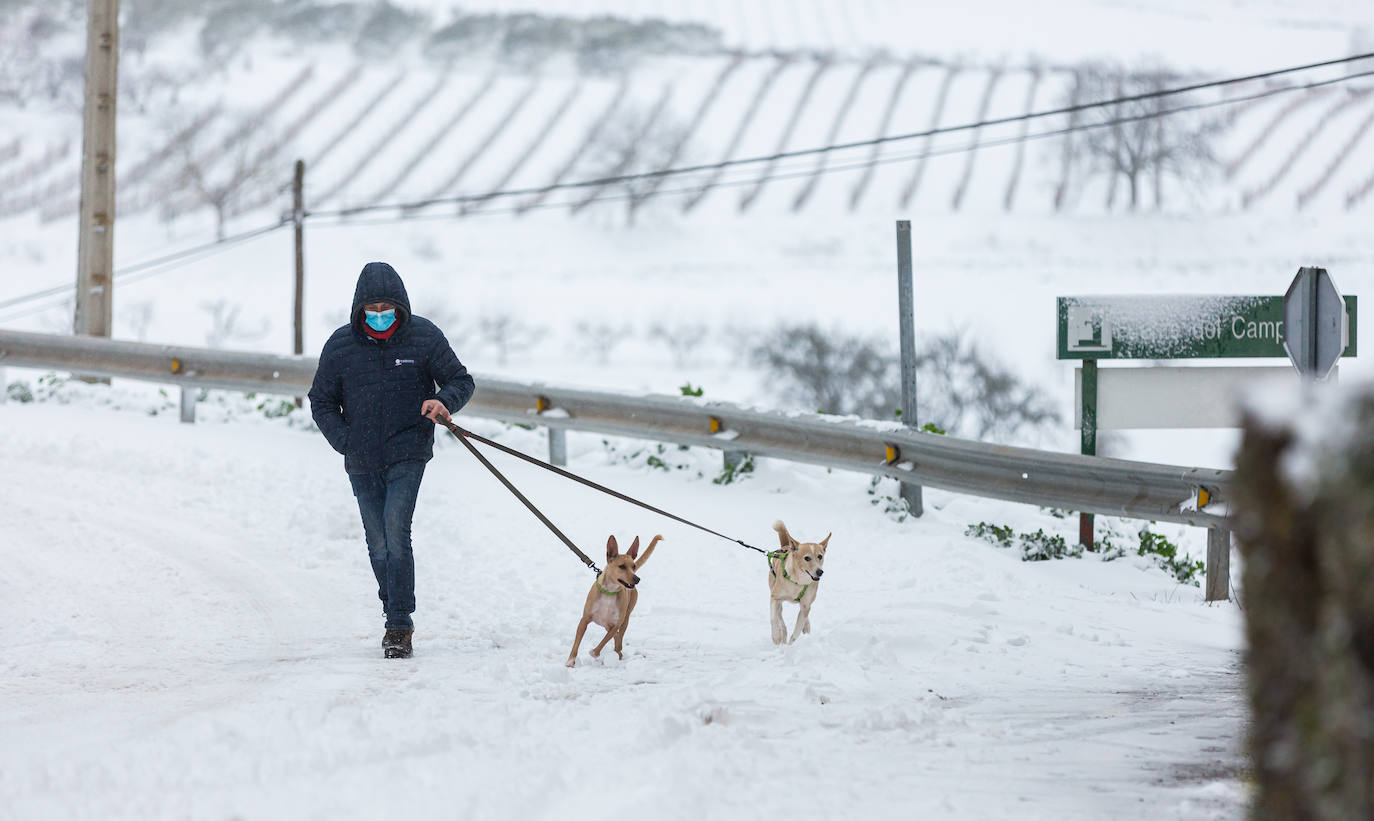 Municipios como Uruñuela, Najera, Sotés, Ventosa o Navarrete han recibido a la nieve en este 2 de enero