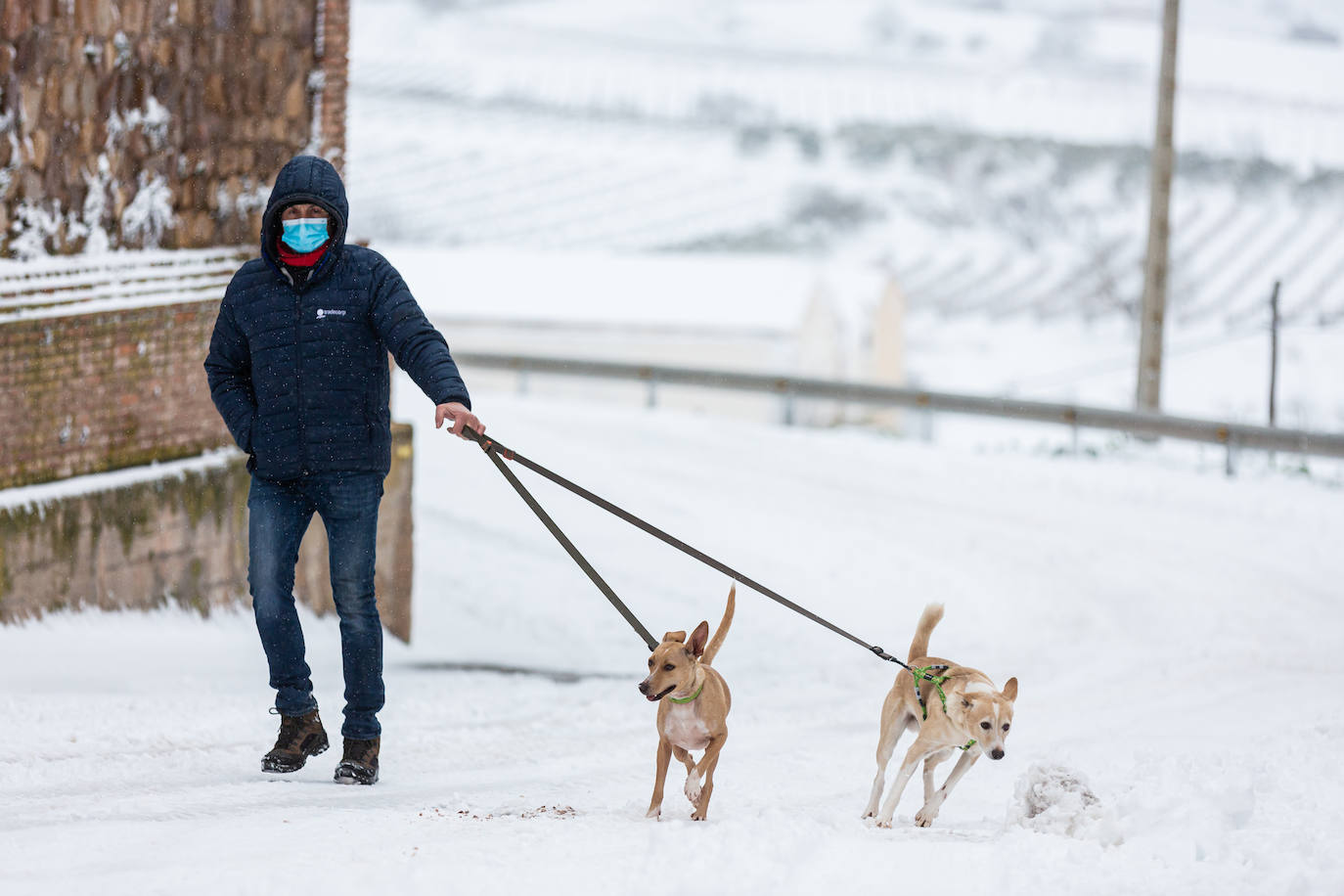 Municipios como Uruñuela, Najera, Sotés, Ventosa o Navarrete han recibido a la nieve en este 2 de enero