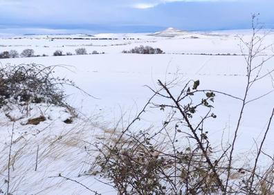 Imagen secundaria 1 - La Rioja se mantiene en alerta en pleno aviso por bajas temperaturas y nuevas nevadas