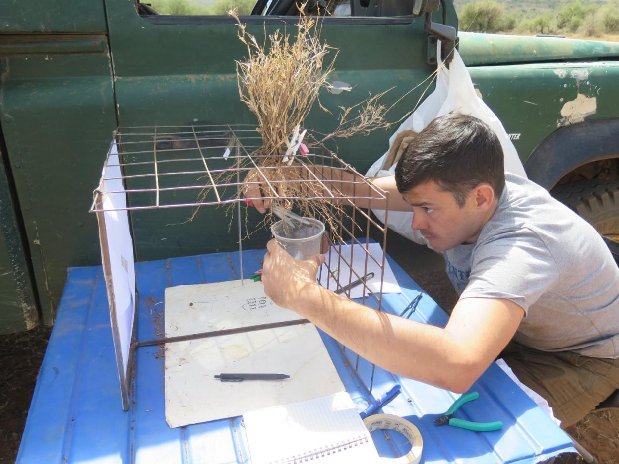 Ciro Cabal trabaja con una planta, y la portada de la revista 'Science' que se hace eco de su investigacIón. 