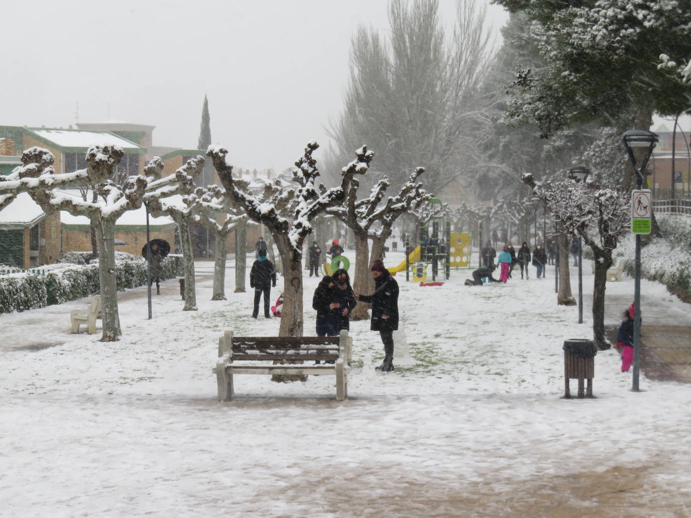 Fotos: Nevada en Alfaro