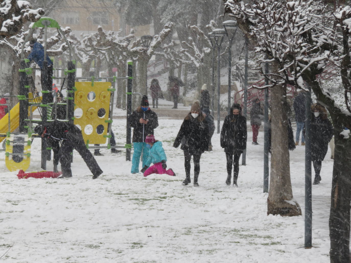 Fotos: Nevada en Alfaro